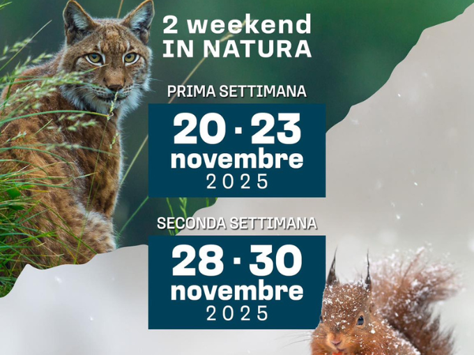 App Vivi Sondrio