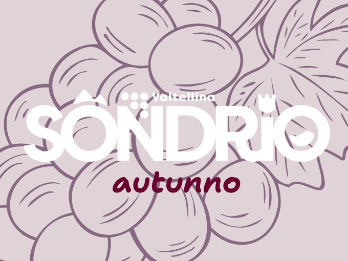 App Vivi Sondrio